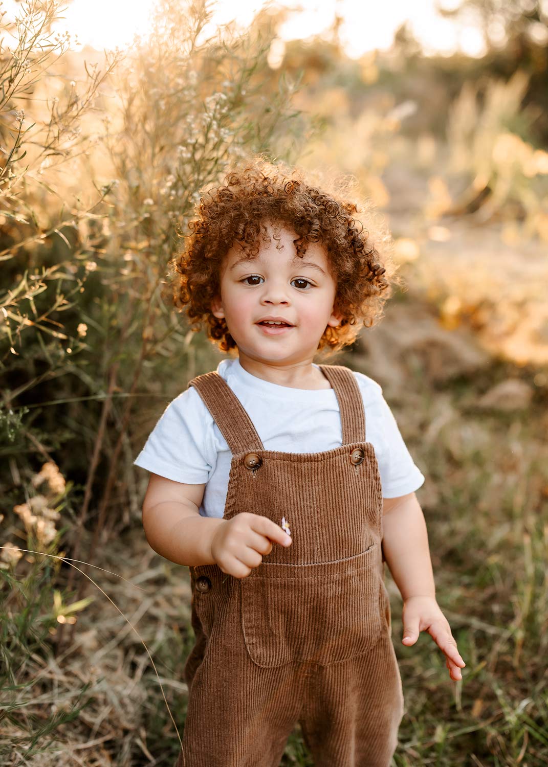 austin texas family photographer austin texas family photographer